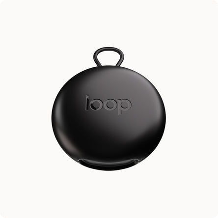 Loop Switch 2 Carry Case